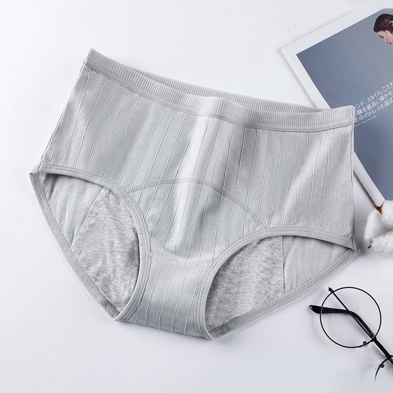 cudo These days Gray / S/M Canis Minor Period Panties