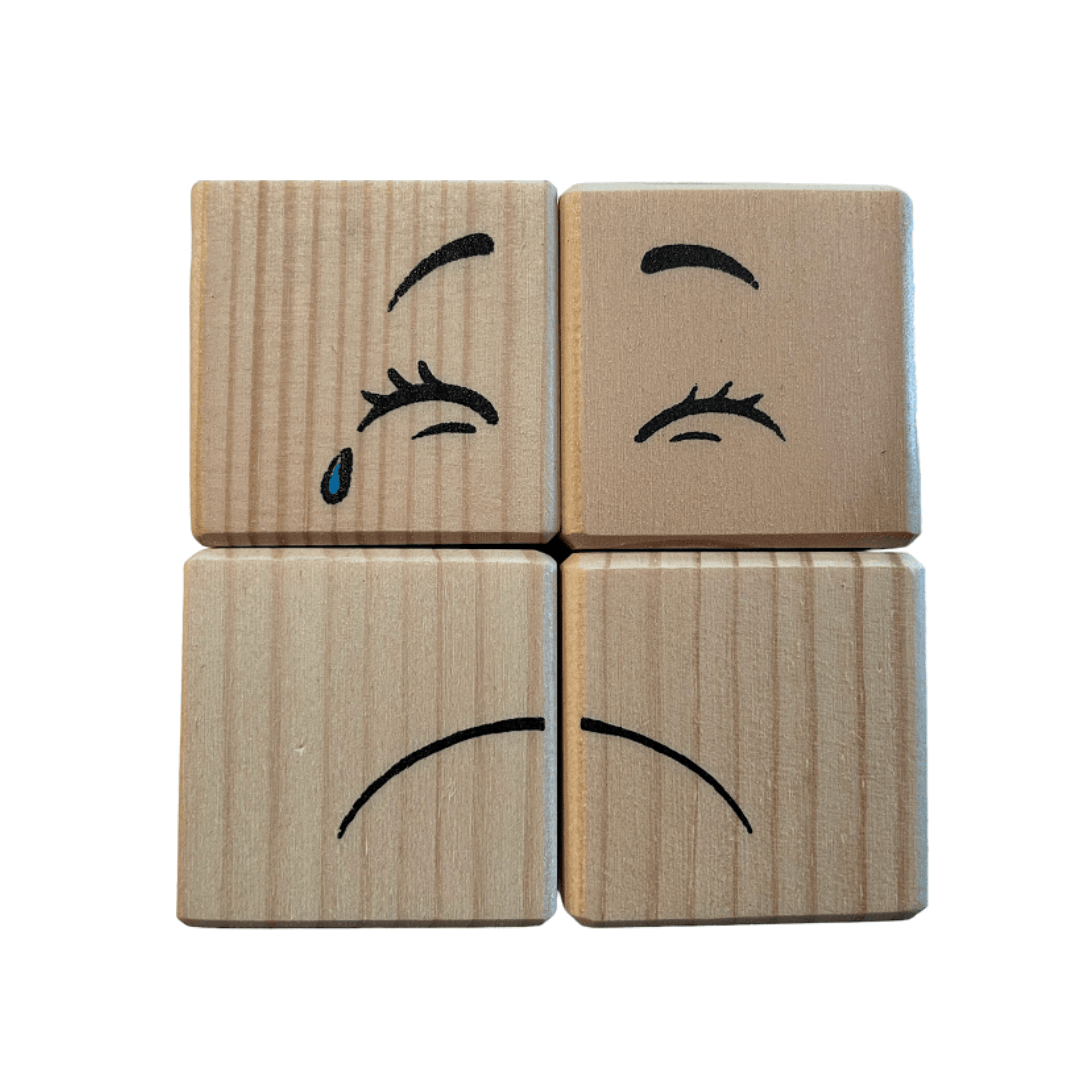 ROOSI Traditional Toys Special Expressions Blocks for Kids